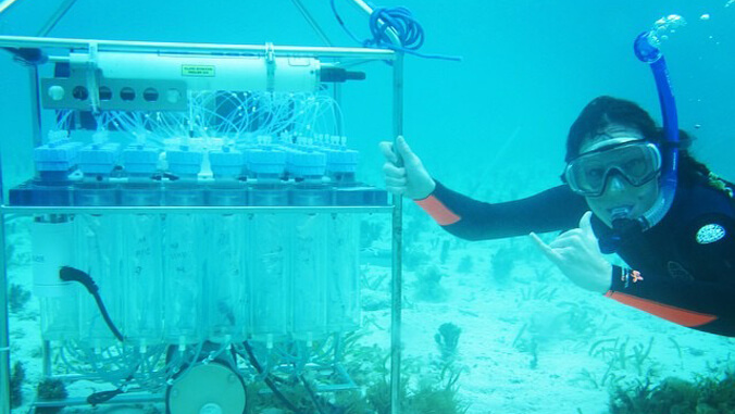 Person with mask and snorkle underwater with research equipment