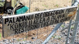 706-acre Pālamanui ‘living laboratory’ stokes reforestation