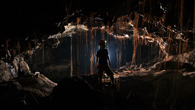 person standing in a cave with roots coming down