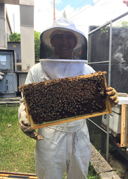 person in a bee suit holding a device with hundreds of bees on it