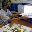 $148K project to digitize thousands of rare, native plant specimens