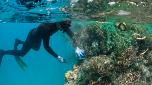 person in the water taking apart a net on a reef