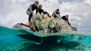 people grabbing onto nets above the water surface