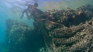 net on coral reef underwater with a diver