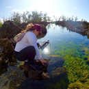 Volcano shrimp, feral species research earn graduate fellowships