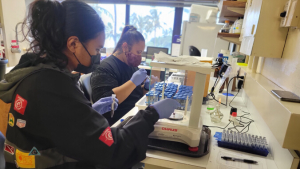 people in a laboratory looking at microscopes