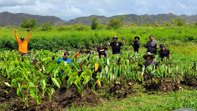 people doing a shaka while in a taro patch