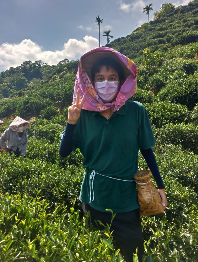 Paul Porter in a tea field in Taiwan