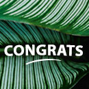 UH 2024 tenure and promotion list