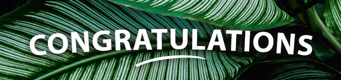 word "Congratulations" over leaves photo