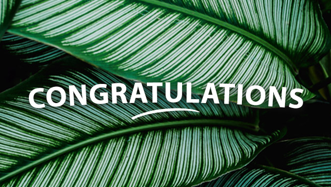 word "Congratulations" over leaves photo
