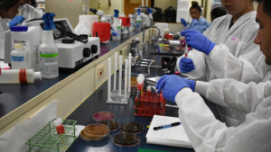 Students working in lab