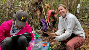 female planting a tree