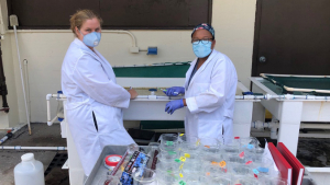 researchers in lab coats conducting experiments
