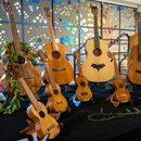 Instruments dating to Hawaiian Kingdom featured in special concert