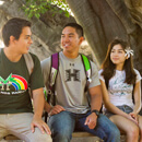 10 UH Mānoa subjects on Times Higher Education premier world ranking