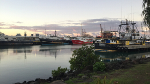 boats in the water