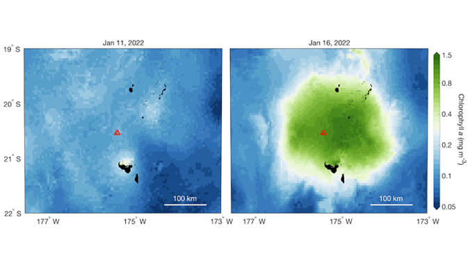 map of bloom