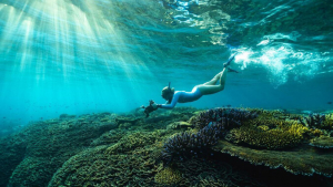Diver underwater with sunlight breaking through the surface