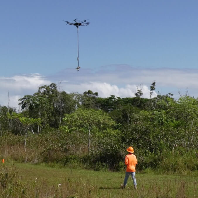 New chainsaw drone technology deployed to fight Rapid ʻŌhiʻa Death