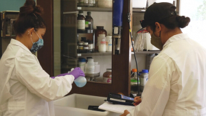 Two scientists in a lab