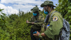 rangers in field