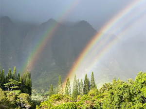 rainbow in a valley