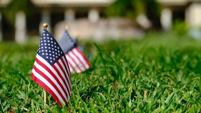 U.S. flags placed in the grass