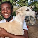 Future veterinarian has ‘life-changing’ Italy fellowship