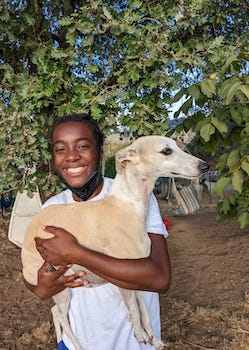 baird carrying a dog