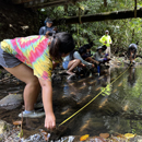 UH Mānoa becomes world’s 1st with accredited degree for environmental science