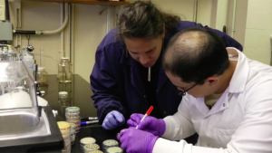 people looking at a lab petri dish