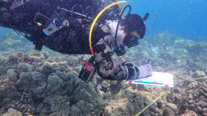 Scuba diver taking notes underwater