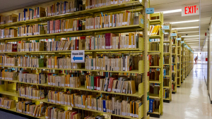 Stacks inside Hamilton Library