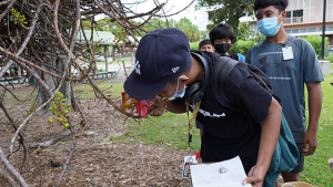 boy smelling flower