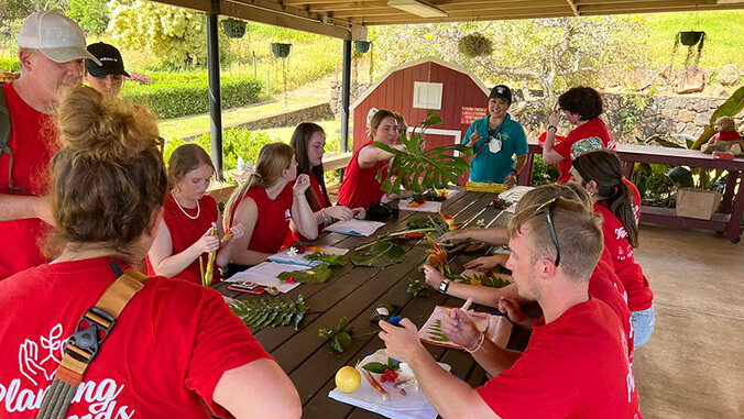 people sitting at table examining plants