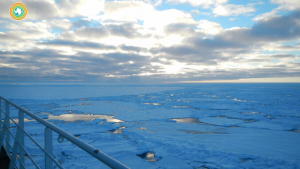 southern ocean