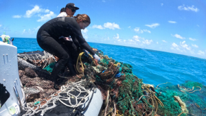 people pulling marine debris out of water