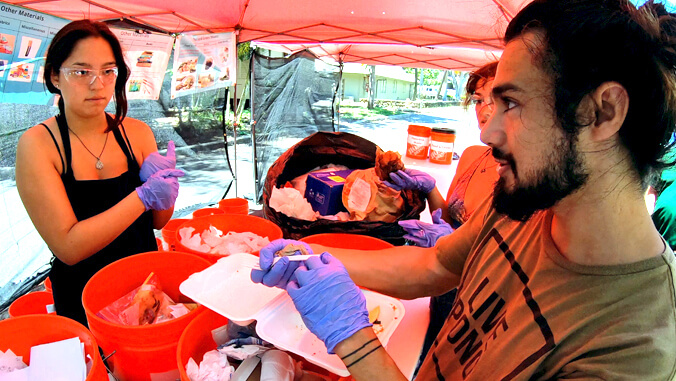 two people working under tent counting trash