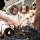 Worm composting, seed germination focus of Earth Day celebration