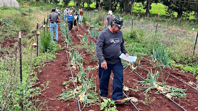 people in field