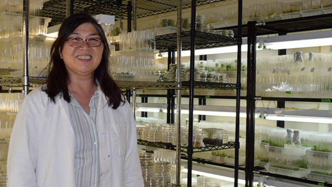 person standing in front of plant cultures