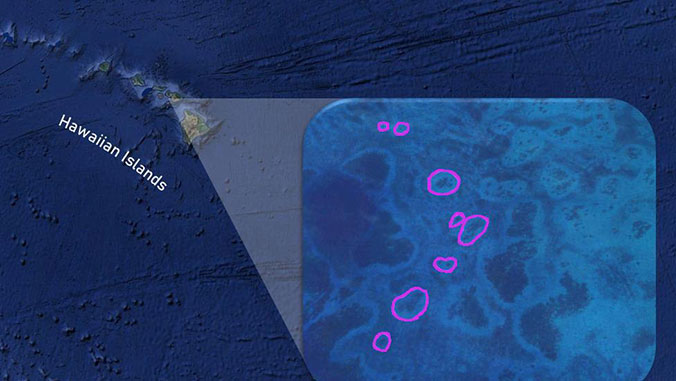 satellite images of reef
