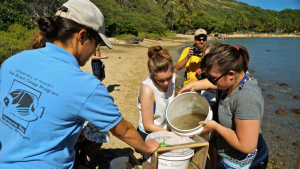 people conducting research on beach