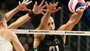 four hands across a net with a volleyball