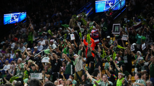 people cheering in the stands