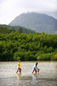 People standing in water