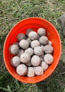 Genki balls in a bucket
