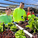 Harvest produce, plant crops, more hands-on training for HS students