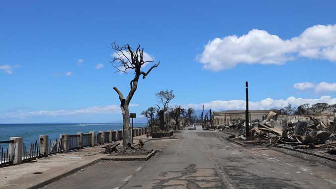 Lahaina street fire damage